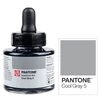 Cerneală marker Talens Pantone, 30 ml - cool gray  5