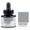 Cerneală marker Talens Pantone, 30 ml - cool gray  6