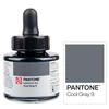 Cerneală marker Talens Pantone, 30 ml - cool gray  9