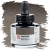 Cerneală marker Talens Pantone, 30 ml - warm gray 10
