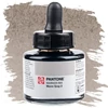 Cerneală marker Talens Pantone, 30 ml - warm gray 2