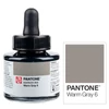 Cerneală marker Talens Pantone, 30 ml - warm gray 6