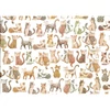 Hârtie de decoupage Tassotti - pisici