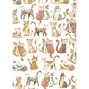 Hârtie de decoupage Tassotti - pisici
