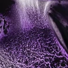 Culori acuarelă White Nights în recipient de 2,5 ml, granulate - 629, violet shadows