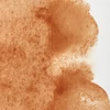 Vopsea de acuarelă Winsor&Newton Professional, in recipient  1/2 - 059, brown ochre