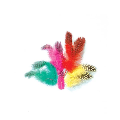 Pene de bibilică, 4-8 cm, 3 g - colorată