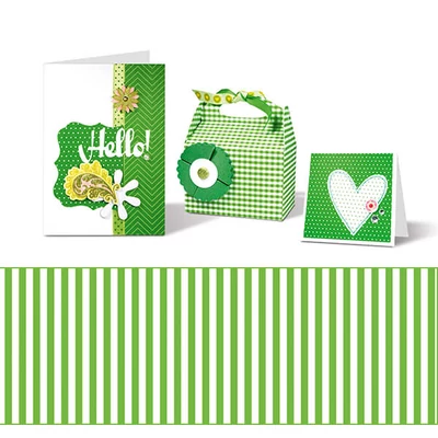 Carton foto, A4 - mini dungi - verde