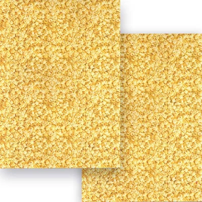 Carton foto, 49,5x68 cm - floricele