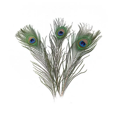 Pene de păun, 25-30 cm