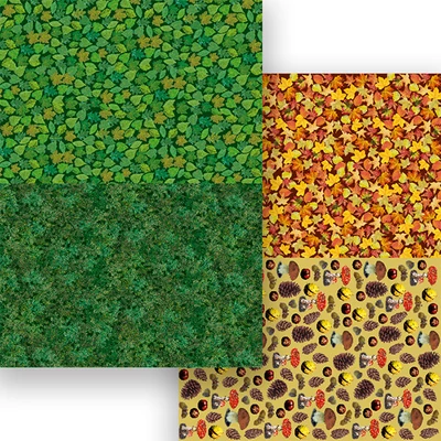 Carton foto, 50x70 cm - Frunze de patru anotimpuri