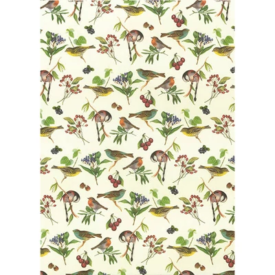 Hârtie decoupage Tasotti - păsări cântătoare
