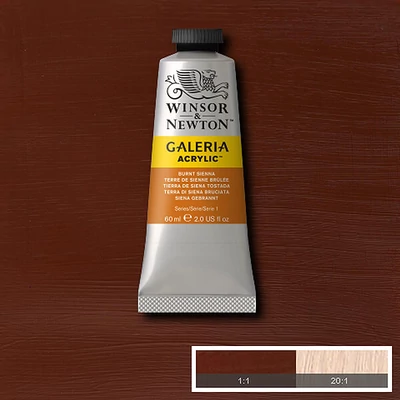 Winsor&amp;Newton Galeria vopsea acrilică, 60 ml - 074, burnt sienna