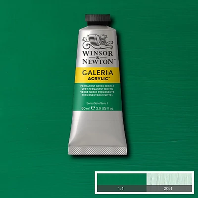 Winsor&amp;Newton Galeria vopsea acrilică, 60 ml - 484, permanent green middle