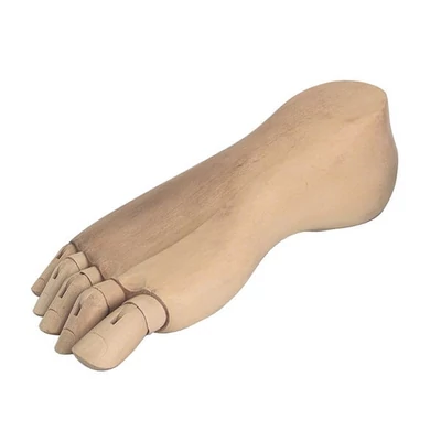 Manechin, picior - 24 cm