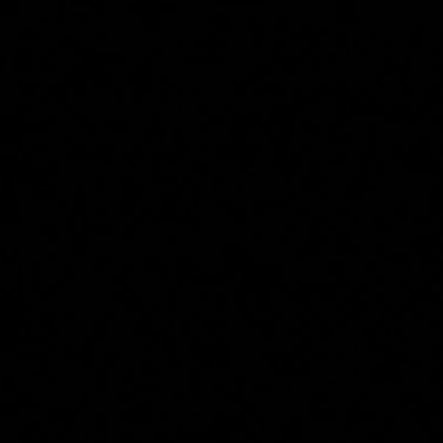 H Dupont Classique vopsea de mătase, fixare cu abur 125 ml -100 negru, black