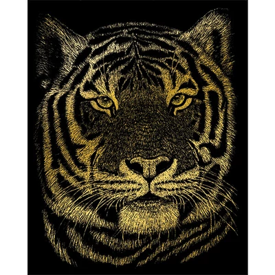 Set tablou gravură cu stilou gravură 20x25 cm - Tigru Bengal, auriu