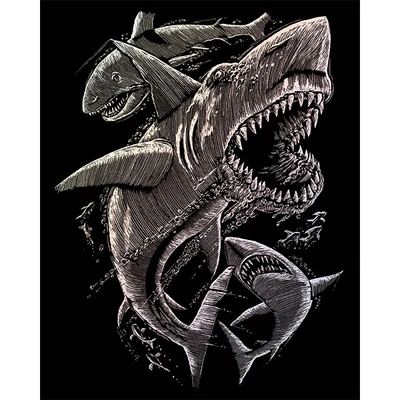 Kit gravare zgarietura cu zgarietura, 20x25 cm - Sharks, holografic