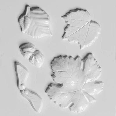 Matriță   plastic HobbyArtist - frunze de copac, fructe, 5 buc