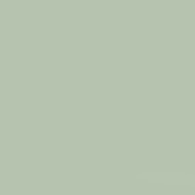 Spray vopsea   Pinty Plus Home, 400 ml - 415 vintage green