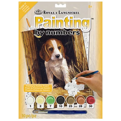 Set de colorat după numere, culori acrilice+pensulă, 22x30 cm - Beagle