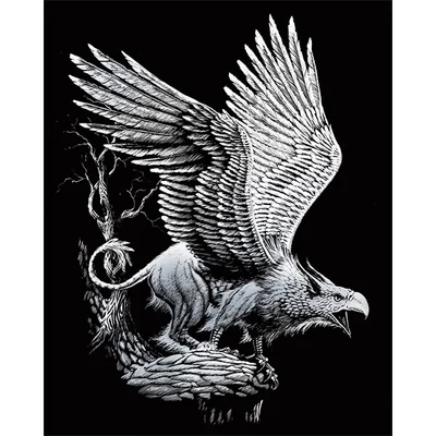 Set tablou gravură cu stilou gravură , 20x25 cm - Griffon, argintiu