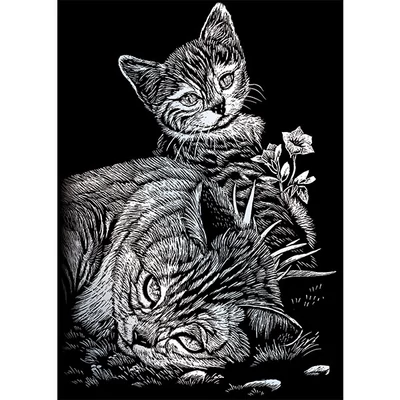 Set tablou gravură cu stilou gravură  12x18 cm - Pisici, argintiu