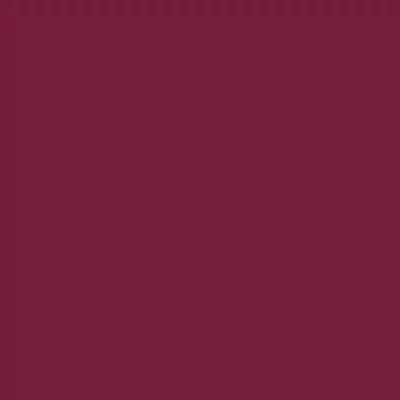 Talens Rembrandt Culori ulei, 40 ml - 567, permanent red violet