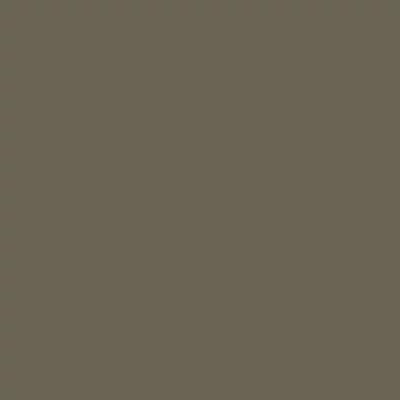 Talens Rembrandt Culori ulei, 40 ml - 718, warm grey