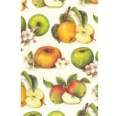 Hârtie de decoupage Tassotti - măr, colorată