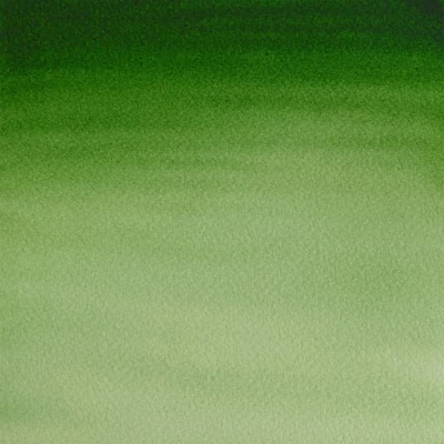 Culori acuarelă Winsor&amp;amp;Newton Cotman în recipient 1/2 - 314, hooker's green light