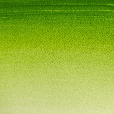 Culori acuarelă Winsor&amp;amp;Newton Cotman în recipient 1/2 - 599, sap green
