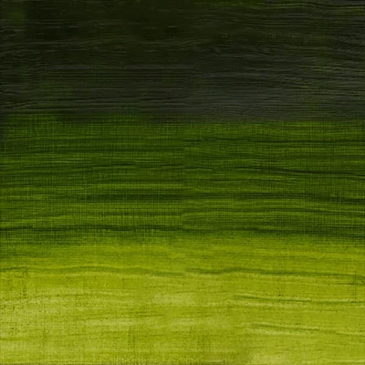 Winsor&amp;Newton Artisan Culori ulei solubile în apă, 37 ml - 503, permanent sap green