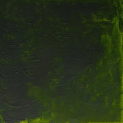 Winsor&amp;amp;Newton Griffin Alkyd Culori ulei, 37 ml - 503, permanent sap green