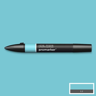 ProMarker marker cu alcool cu două vârfuri - C528, duck egg