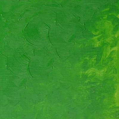 Winsor&amp;Newton Winton Culori ulei, 37 ml - 483, permanent green light