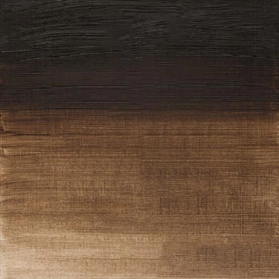 Winsor&amp;Newton Winton Culori ulei, 37 ml - 554, raw umber