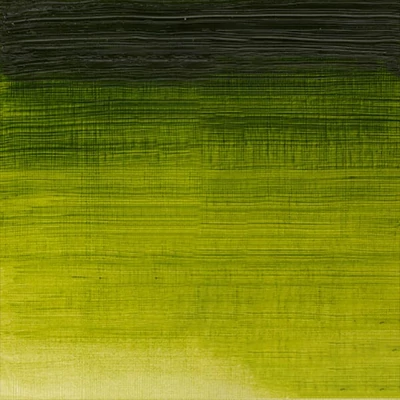 Winsor&amp;amp;Newton Winton Culori ulei, 37 ml - 599, sap green