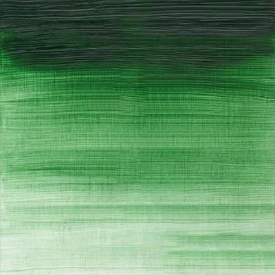 Winsor&amp;Newton Winton Culori ulei, 37 ml - 637, terre verte