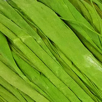 Rafie, 50 g - verde deschis