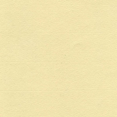 Hârtie Hahnemühle Ingres, 100 g, 48x62,5 cm - 253 antique