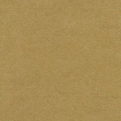 Hârtie Hahnemühle Ingres, 100 g, 48x62,5 cm - 256 brown