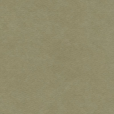 Hârtie Hahnemühle Ingres, 100 g, 48x62,5 cm - 257 mouse grey