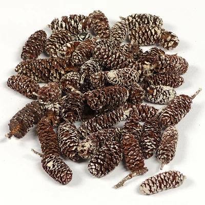 Plante uscate - Arin, zăpadă, 30 g