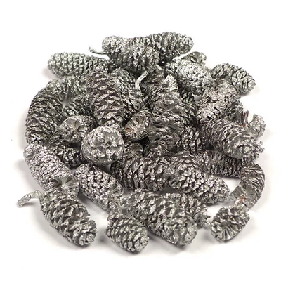 Plante uscate - Arin, argint, 30 g