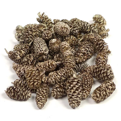 Plante uscate - arin, șampanie, 30 g