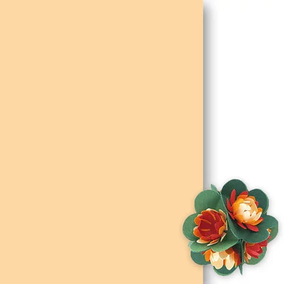 Hârtie tonată , 50x70 cm - 08, culoarea pielii