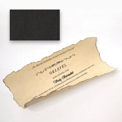 hârtie  ivoire, A4, 110 g - 90, neagra