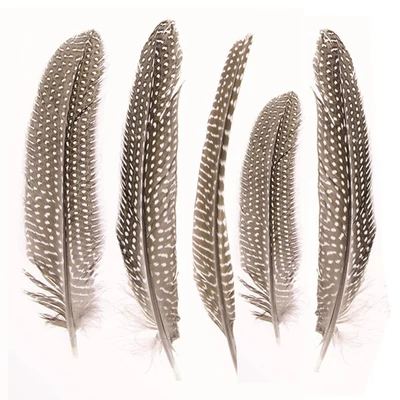 Pene de bibilică, 16-19 cm, 5 buc - naturale