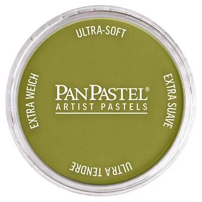 PanPastel pastel uscat în recipient - 680.3, bright yellow green shade